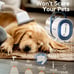 oneisall Dog Hair Vacuum & Dog Grooming Kit, Pet Grooming Vacuum with Pet Clippe