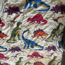 Dinosaur vintage Twin blanket children room