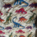 Dinosaur vintage Twin blanket children room