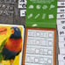 Learning Letters Phonics Reading Homeschool Preschool Kindergarten Bundle Lot