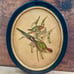 Vintage Plaster Art Print J Gould Love Birds, Chalk Ware Wall Plaque