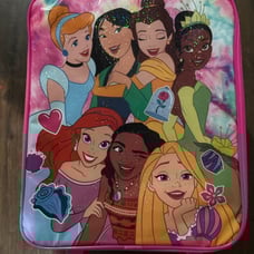 Disney princess luggage