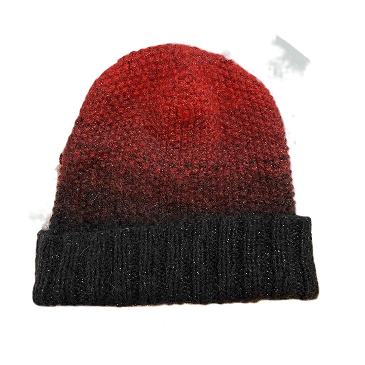Eugenia Kim Metallic Knit Beanie Hat Color Gradient Folded Cuff Womens