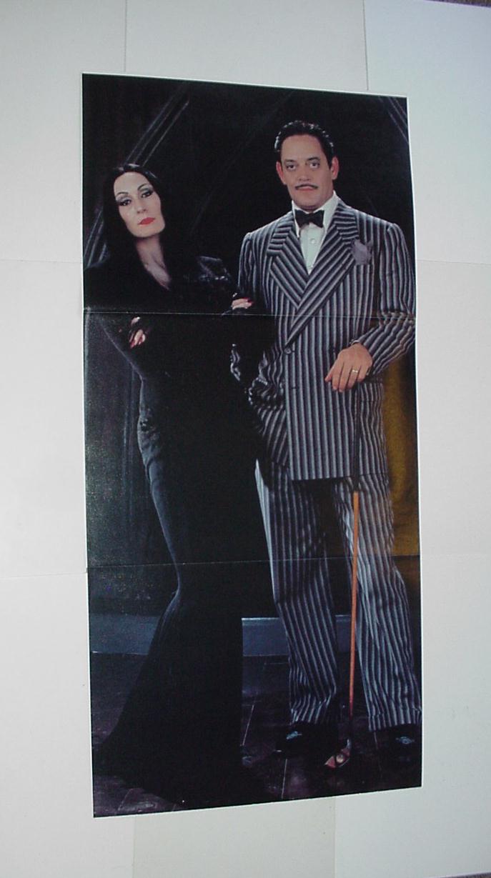 Addams Family Poster # 1 Raul Julia and Angelica Houston Movie
