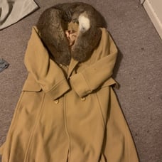 real fur coat