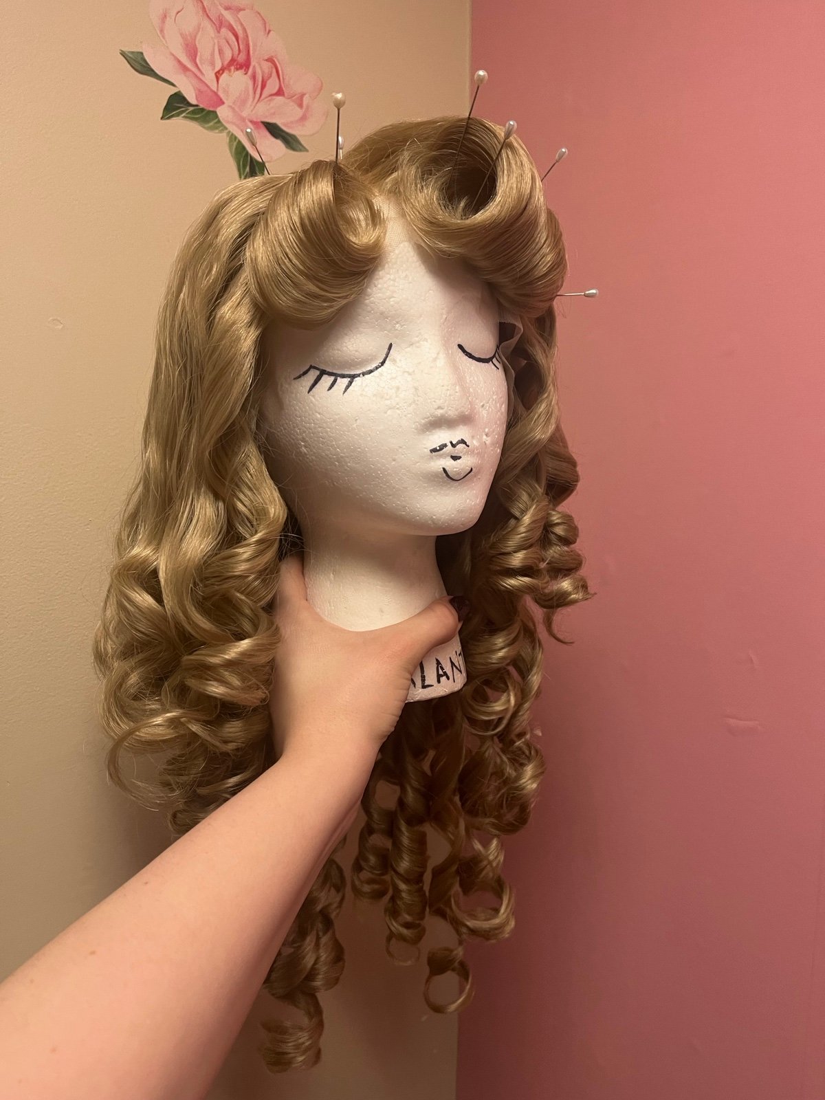 Sleeping beauty lace front Wig