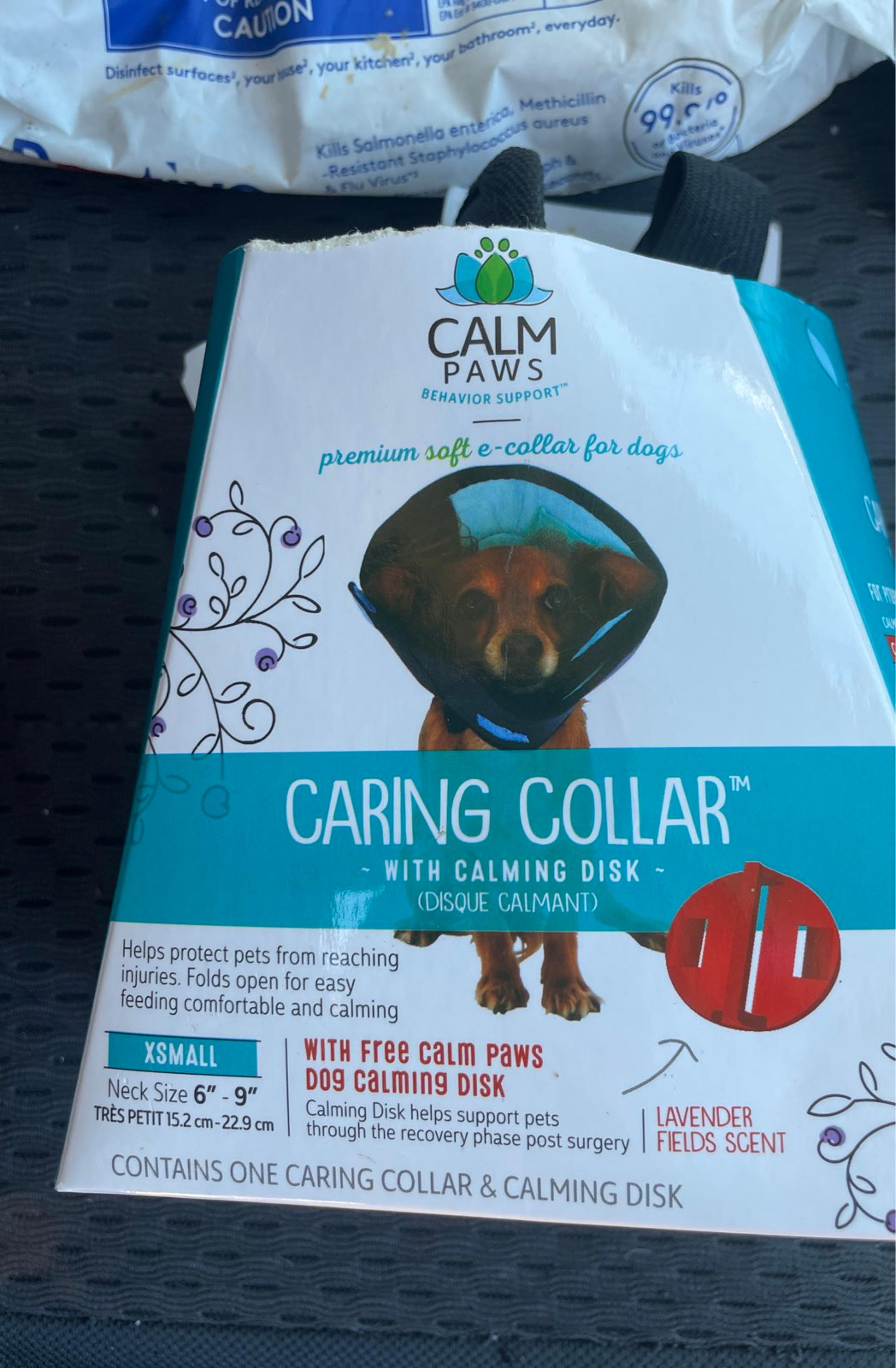 Caring collar for small dogs