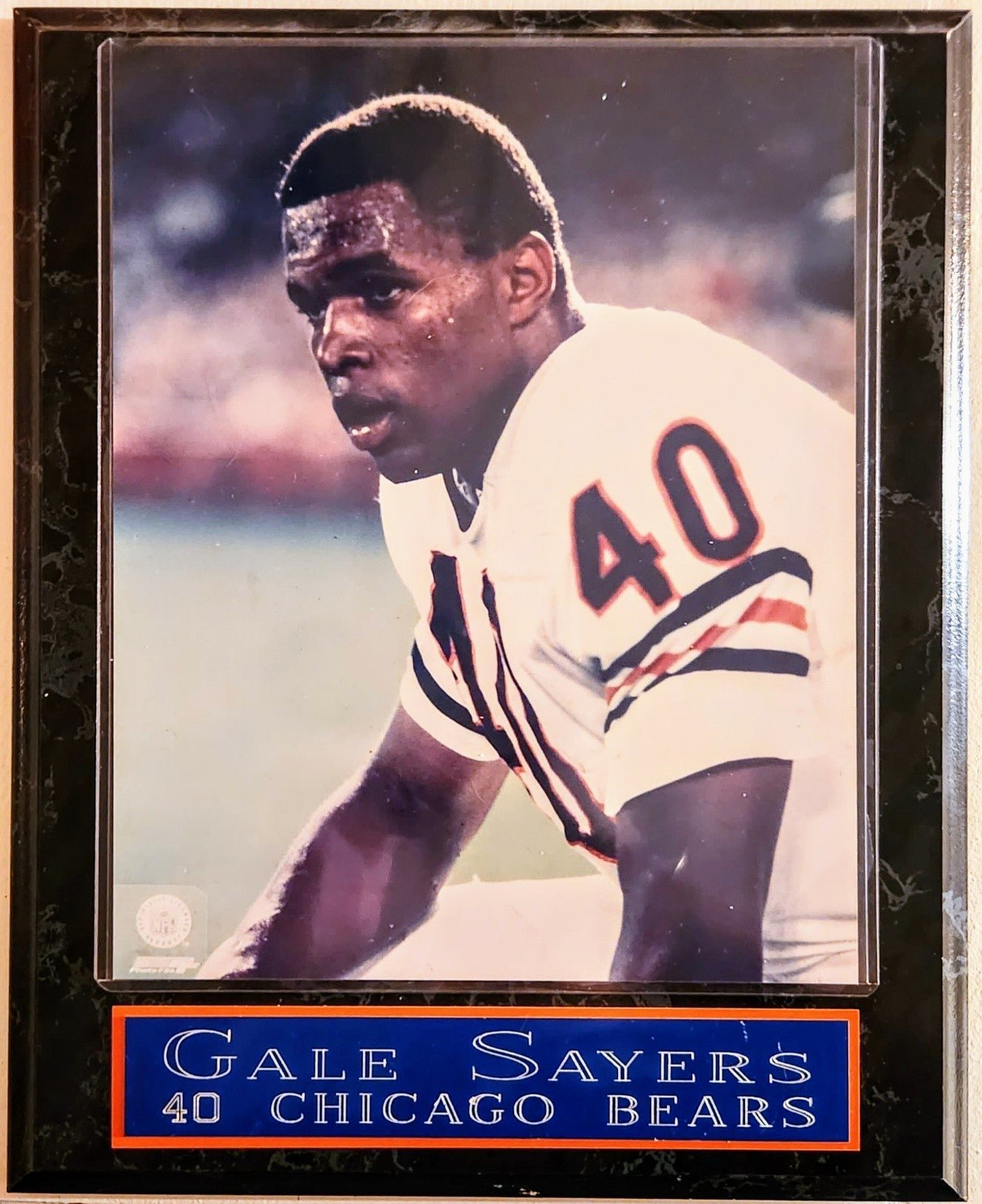Gale Sayers Chicago Bears Plaque