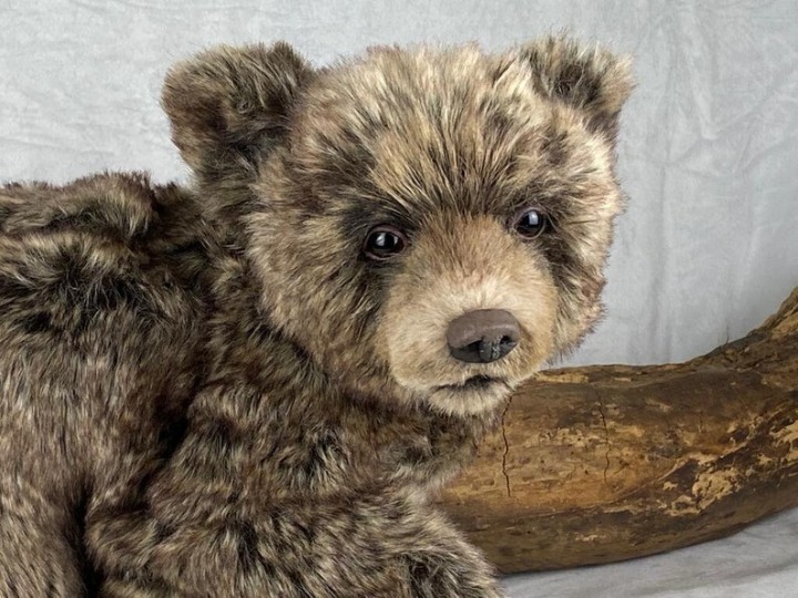 HG Handmade realistic brown bear cub/artist soft sculpture/totem animal plush