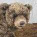 HG Handmade realistic brown bear cub/artist soft sculpture/totem animal plush