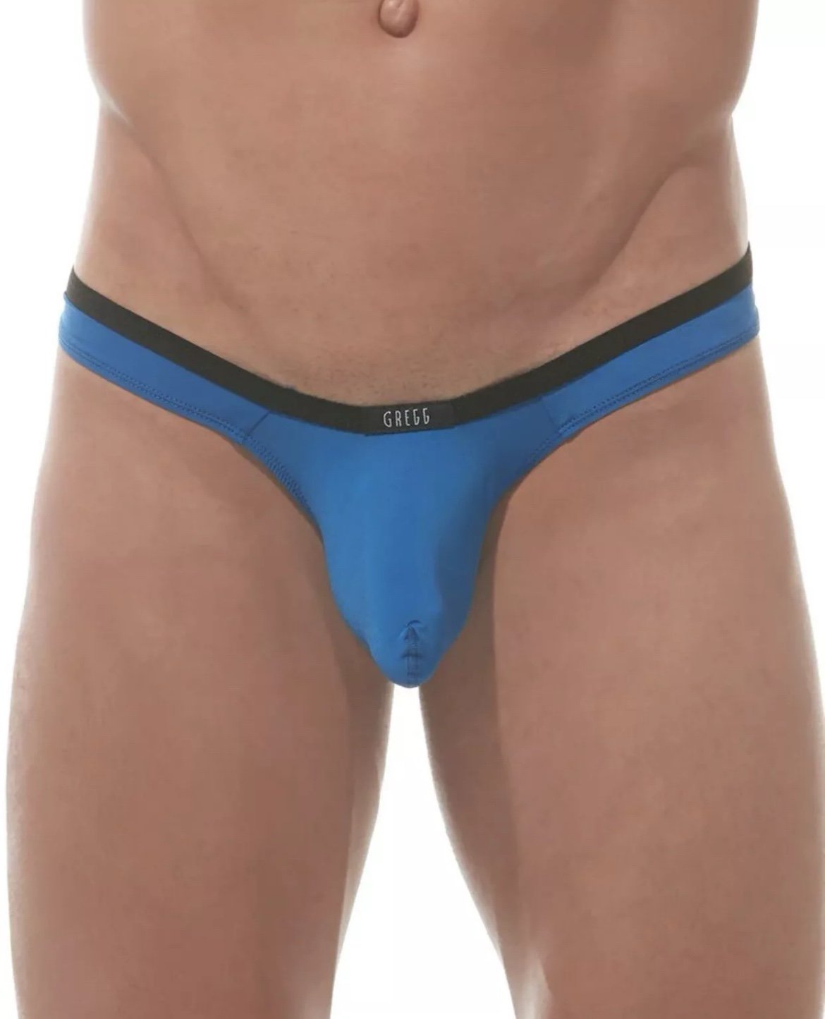 Men’s NWT Gregg Homme Voyeur Hyperstretch Microfiber Low Rise Thong, Blue, Small