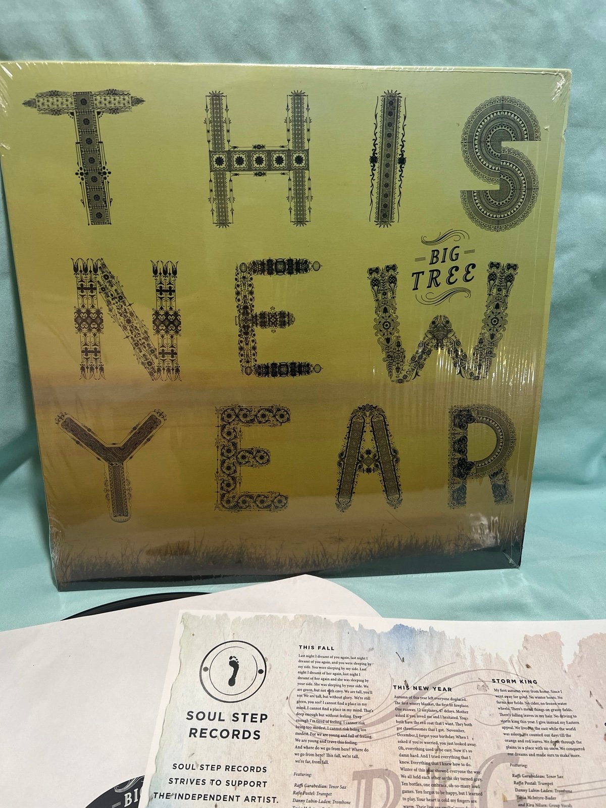 Big Tree - This New Year LP Indie Alternative Vinyl Record