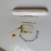Portmeirion Wildflower Meadow Oven/Dishwasher Safe Ceramic Lidded Dish With Bird