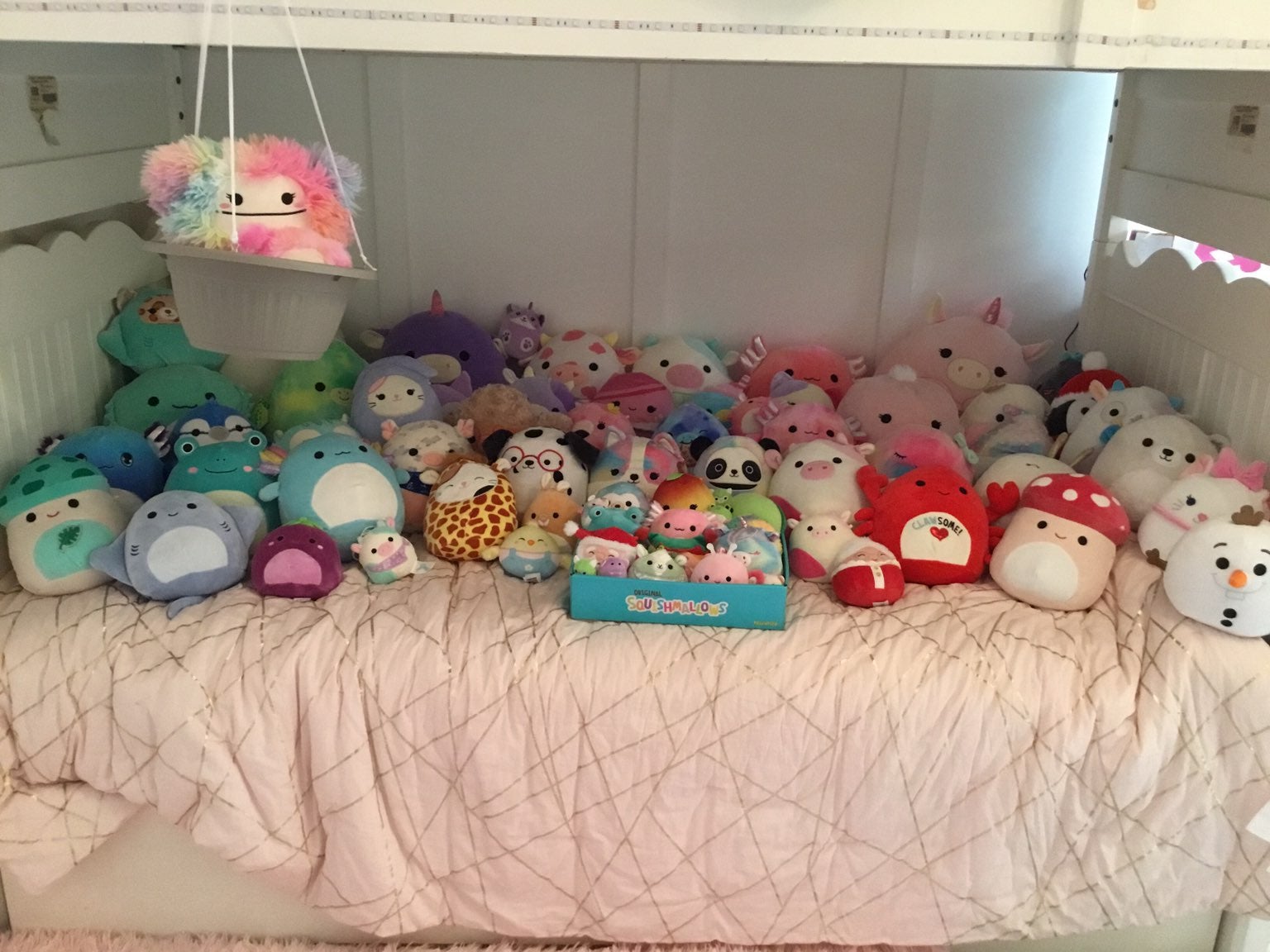 Squishmallow lot!