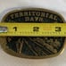 Vintage Territorial Days Buckle Design By Steve Haas Serial No.176 Viking 1901 M