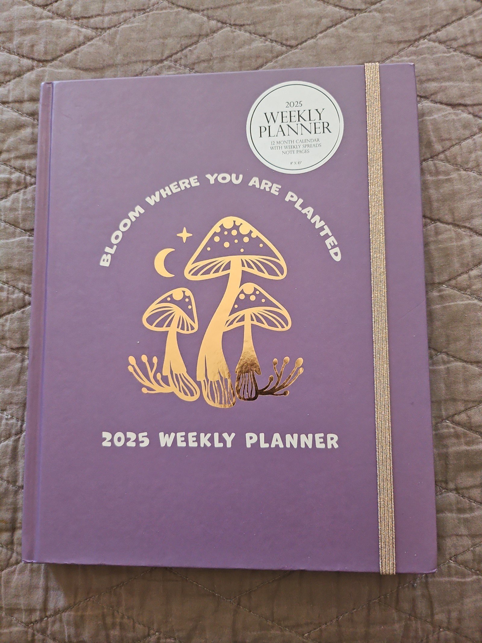 Bloom Where You Are Planted 2025 8 x10 Hardcover Weekly Planner