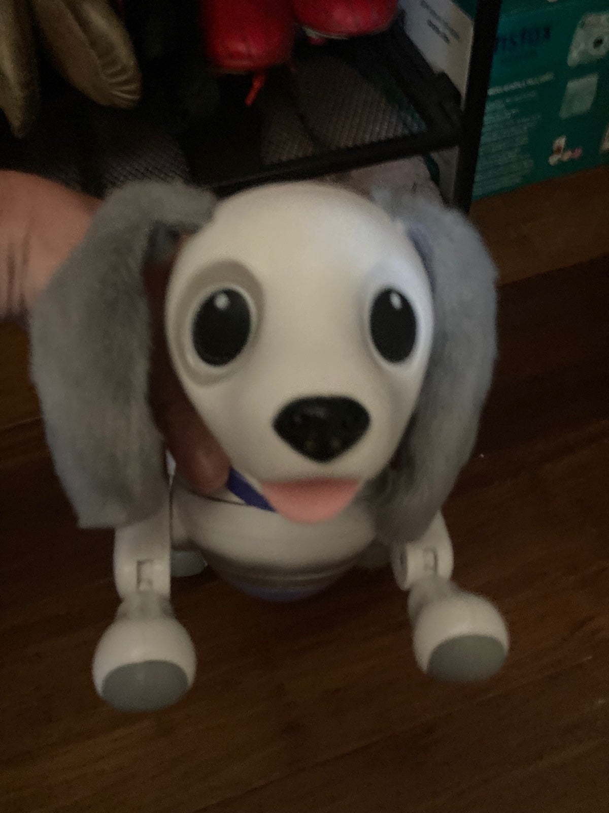 Zoomer