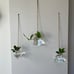 3 PC Terrarium Container Flower Planter Hanging Glass for Hydroponic Plants