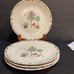 Thomson pottery VTG birdhouse DINNER PLATES set of 4