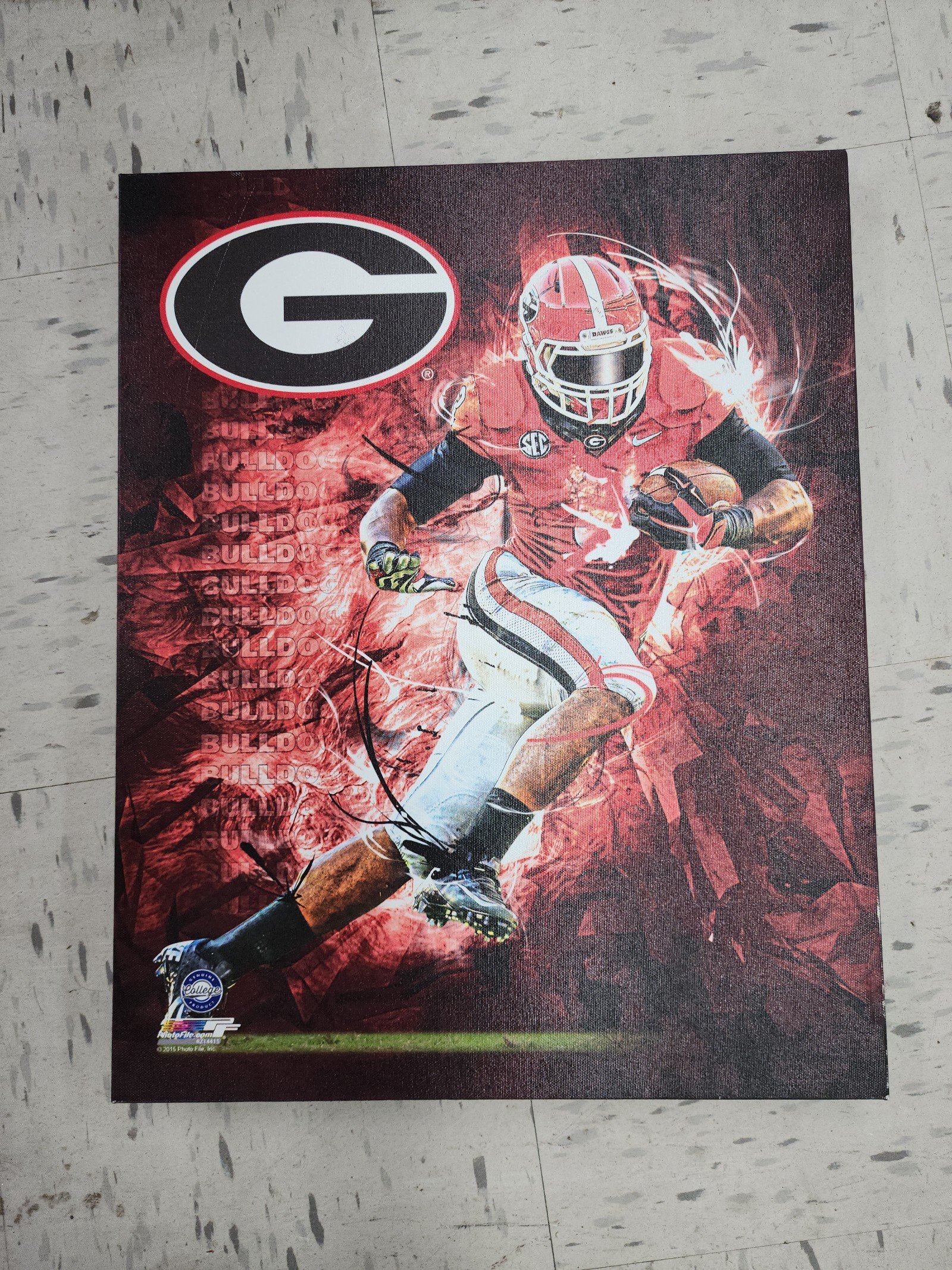 Georgia Bulldogs - UGA Football Painting On Canvas 20 x 15 By Photo Film .Com