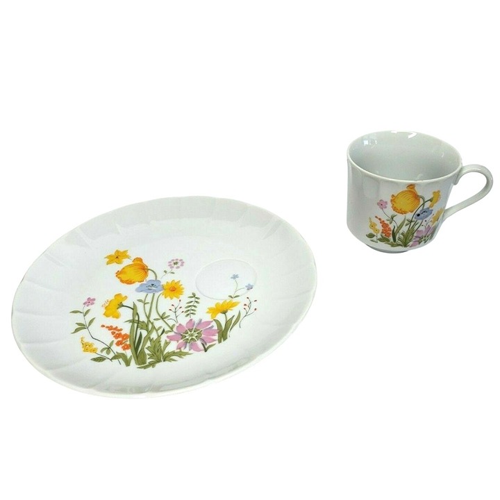 Vintage Stoneware Hearthside Petit Floras s-1422 Japan Tea Cup And Fitted Plate