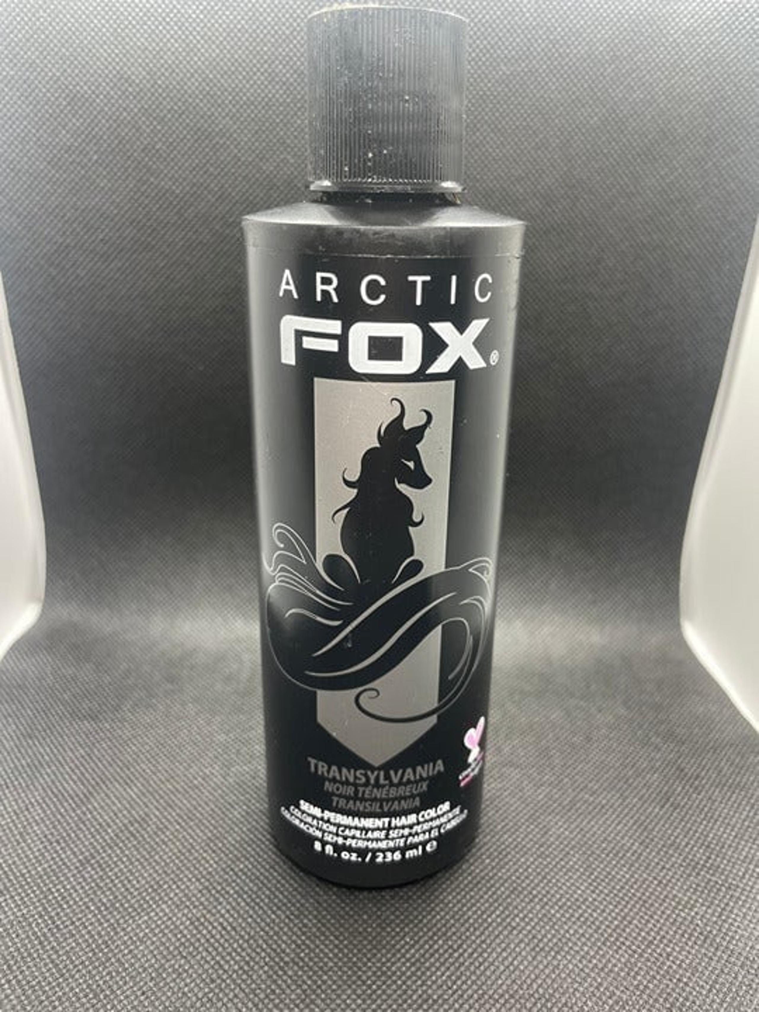 Arctic Fox Transylvania