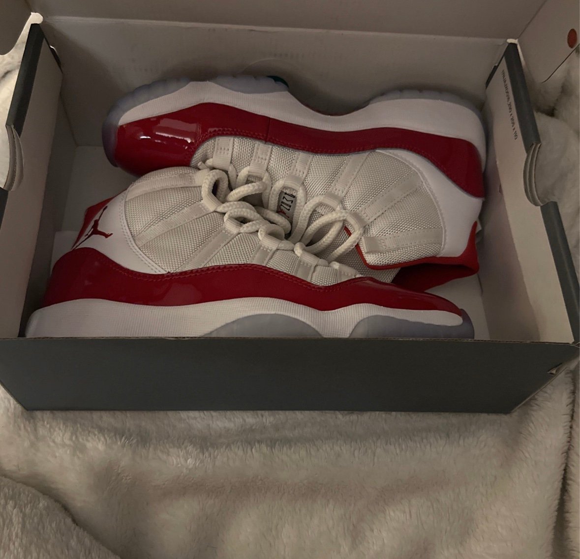 Air Jordan 11