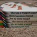 6pc Ask Me Series Books