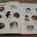 6pc Ask Me Series Books