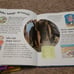 6pc Ask Me Series Books