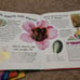 6pc Ask Me Series Books