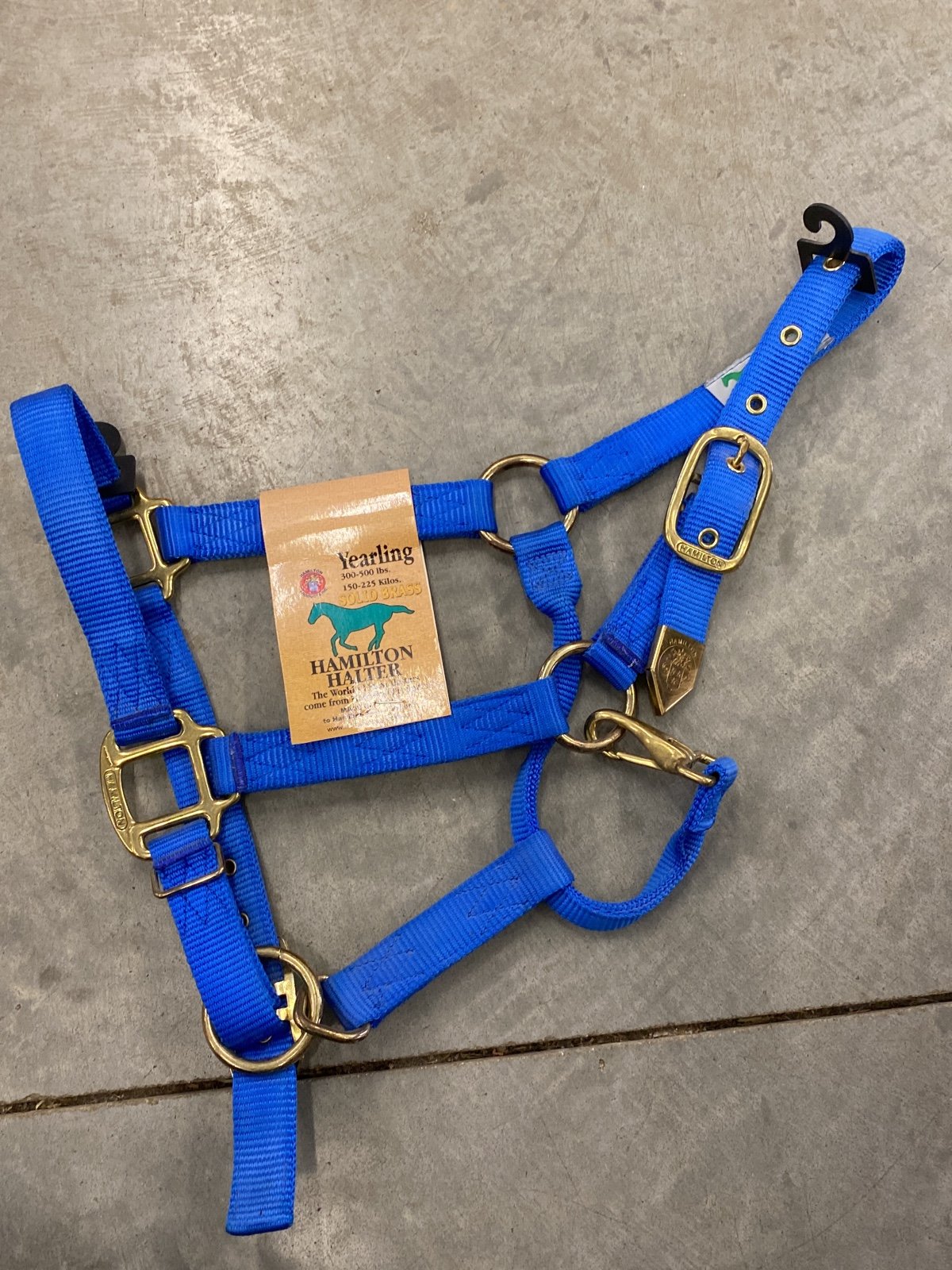Horse halter yearling