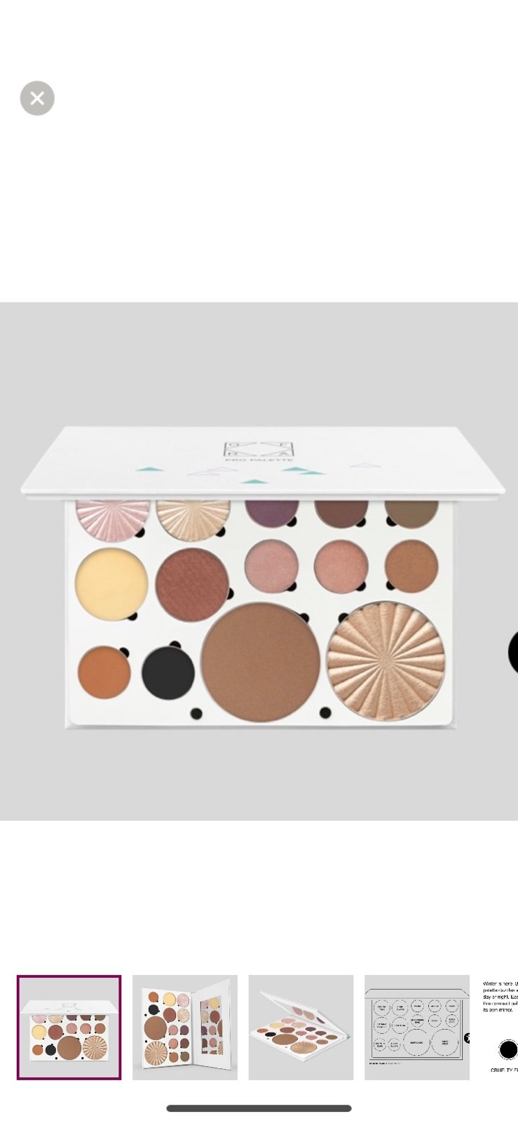 Ofra Pro Palette