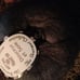 Lot mohair/mohair blend yarn