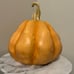 Halloween Martha Stewart Pepper Pumpkin