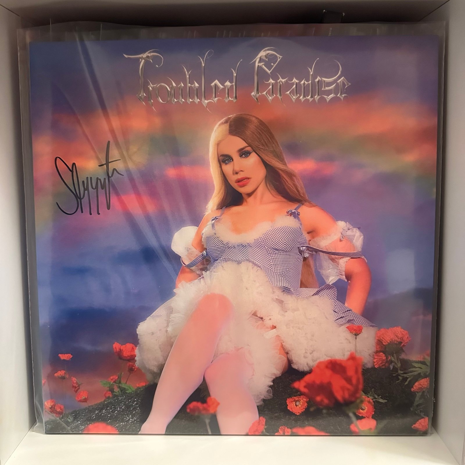 SIGNED slayyyter troubled paradise vinyl