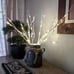 Lighted Birch Branches with 70 Multicolor LED Fairy Lights 18in Battery Operated