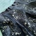 DKNY Black Lace Overlay Full A-Line Silk Skirt Knee Length Formal NWT Size 10