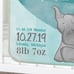 Custom Elephant Baby Sherpa Blanket