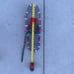 MSR Snowshoes Lightening Accent with Paragon Bindings