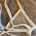 Posh Pua bikini top