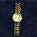 Guess waterpro watch