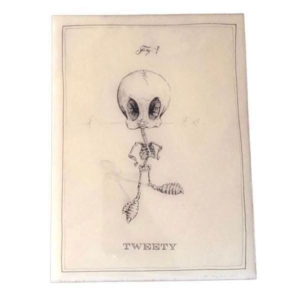 Tweety Bird Anatomical Skeleton Contemporary Art Pencil Signed Wood Panel