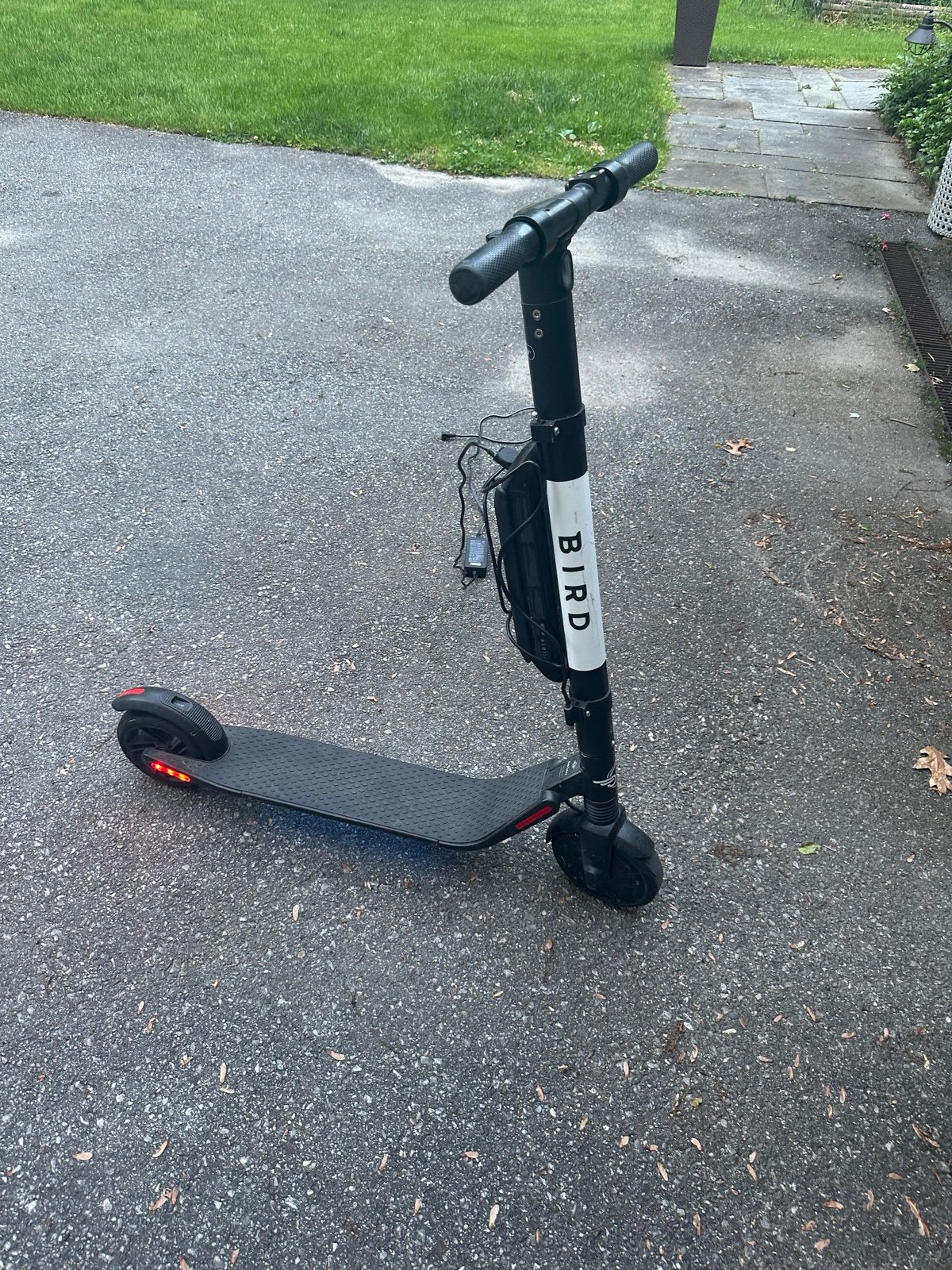 Electric scooter(BIRD)