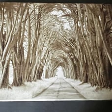 Into the forest wall printed painting hanging decor for wall