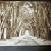 Into the forest wall printed painting hanging decor for wall