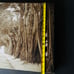 Into the forest wall printed painting hanging decor for wall