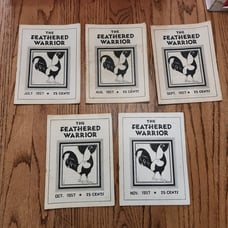 The Feathered Warrior