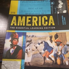 America the Essential Learning Edition