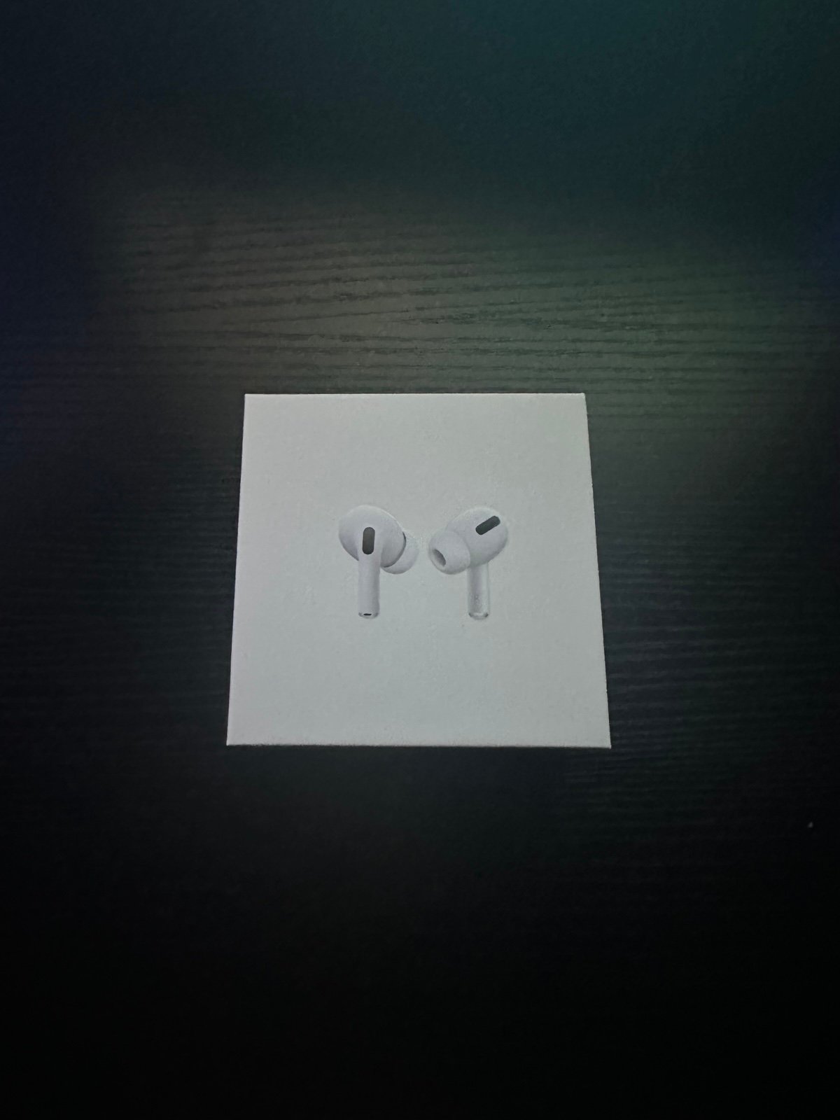 AirPods Pro (CAN NEGOTIATE)